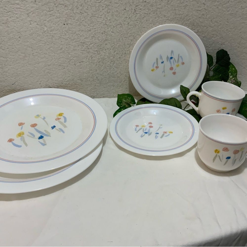 6 Arcopal France dinner salad plates cups White Milk Glass With Flowers Pastoral